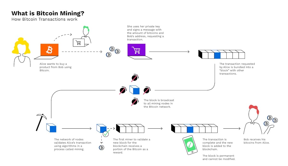 Bitpanda Infographics 7 Bitcoin Blockchain