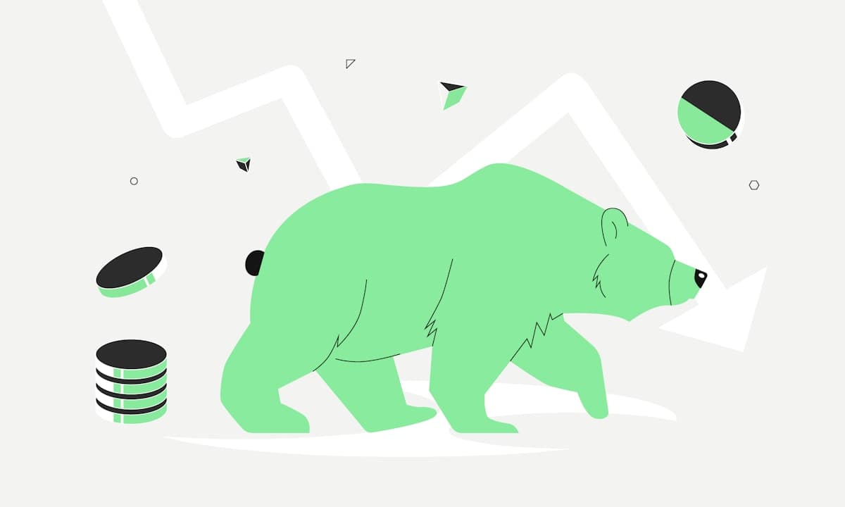 Copy Of 241118 Academy Bull And Bear Market Bear