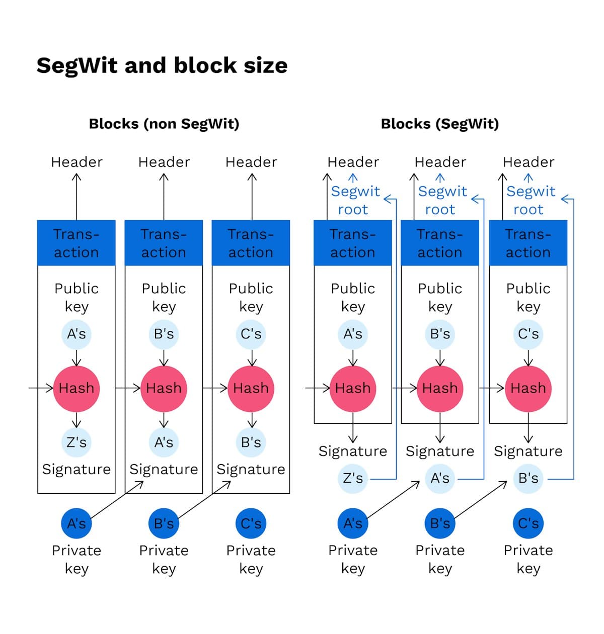 Bitpanda Academy Intermediate 16 Segwit Infographic