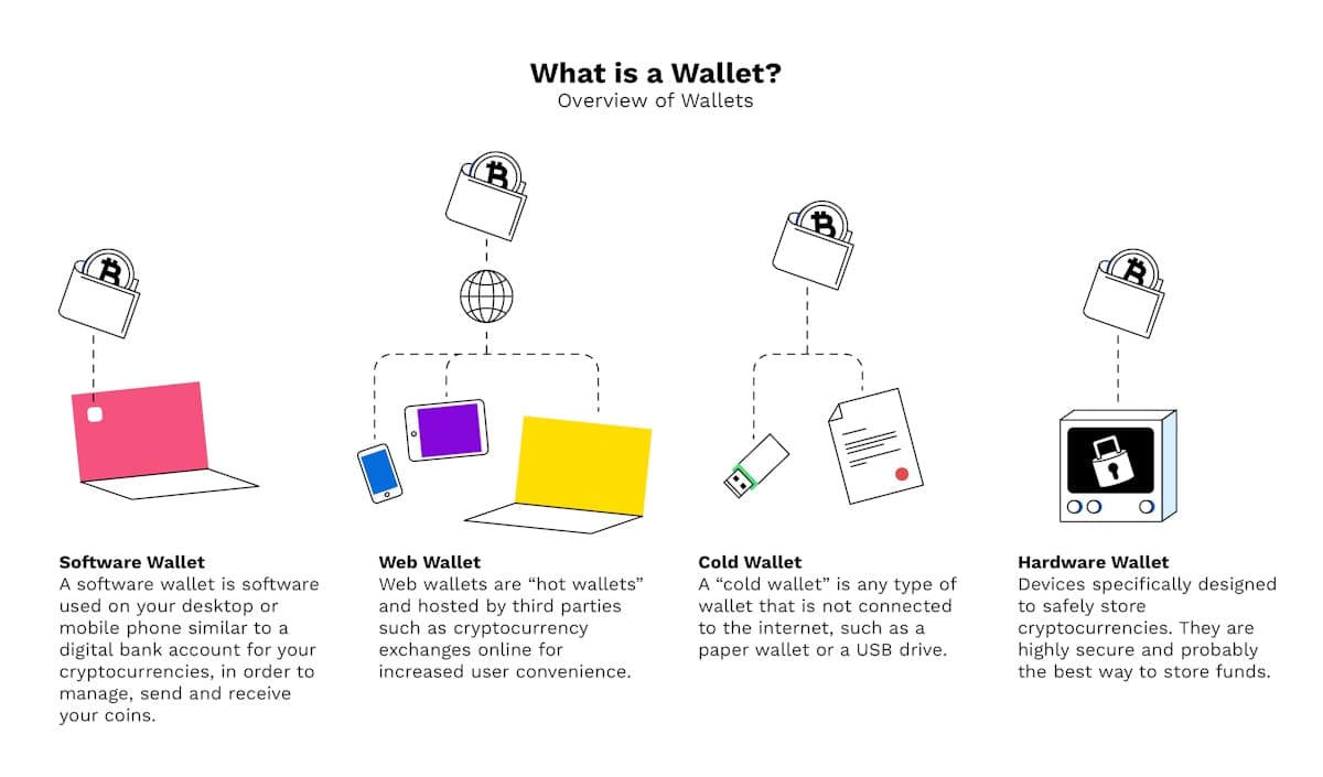 Bitpanda Infographics 6 Wallet