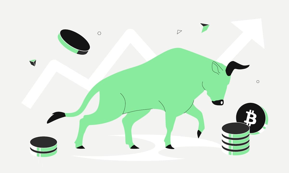 Copy Of 241118 Academy Bull And Bear Market Bull