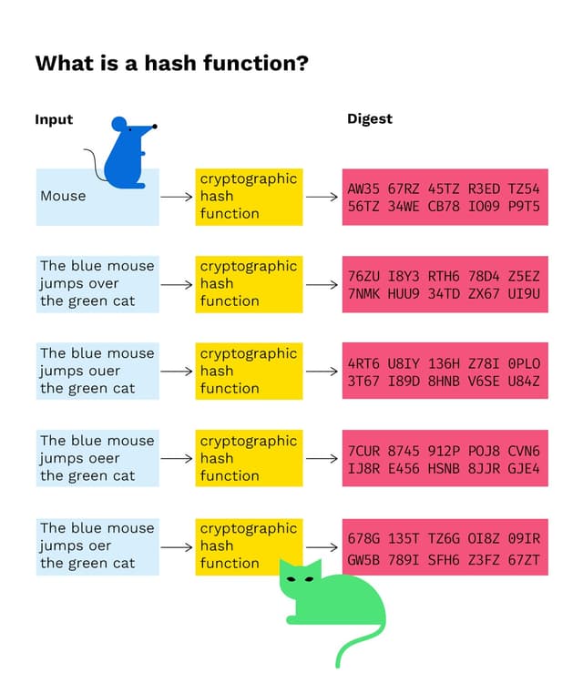 Blockchain Hash Examples What is a hash function in a blockchain transaction? | Bitpanda Academy